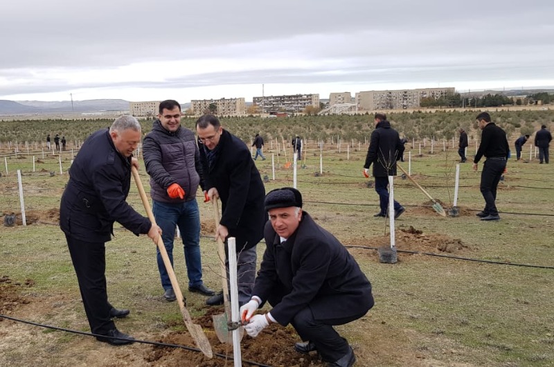 Elxan Hüseynov: SDU-nun mühüm uğurlarından biri də onun beynəlxalq əlaqlərinin müasir dövrün tələblərinə uyğun qurulması və inkişaf etdirilməsidir